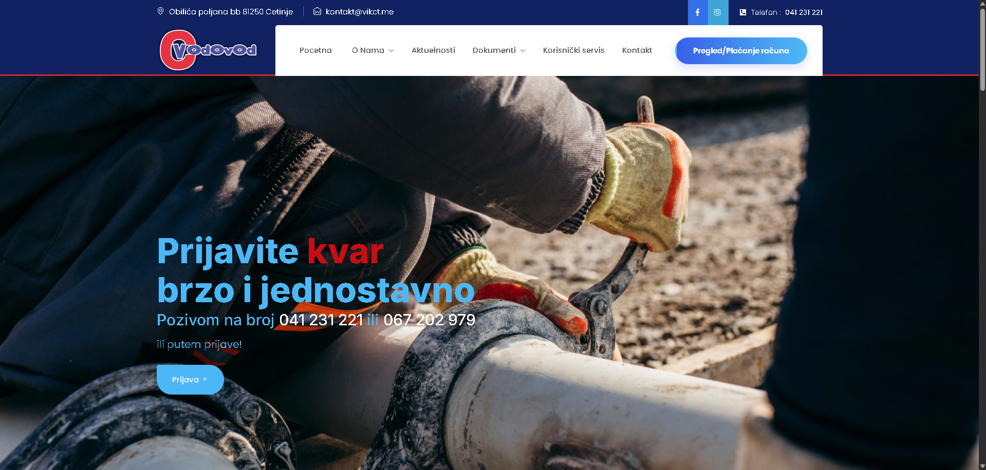 Website project preview